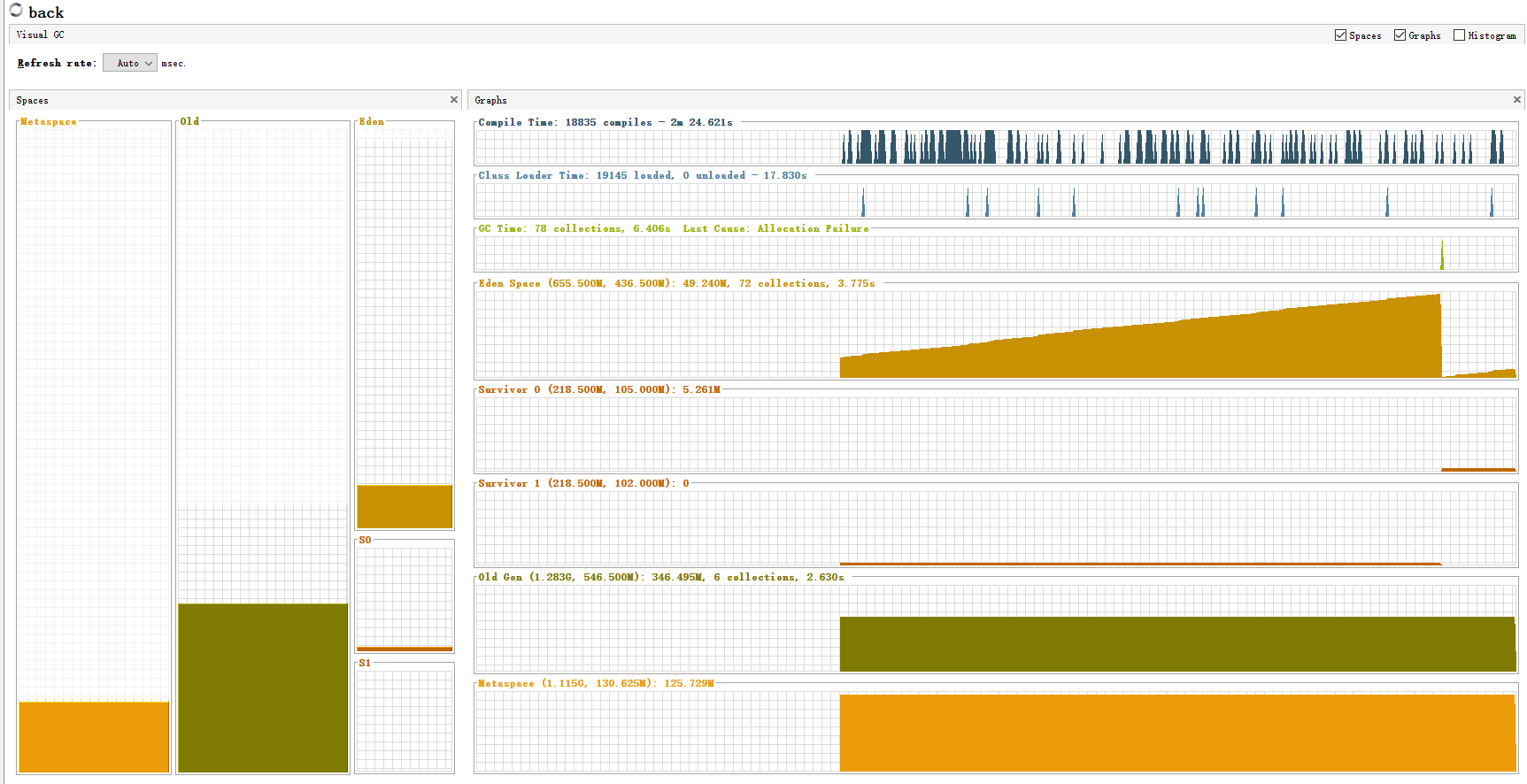 Using visual VM to remotely monitor the server status (graphical interface)