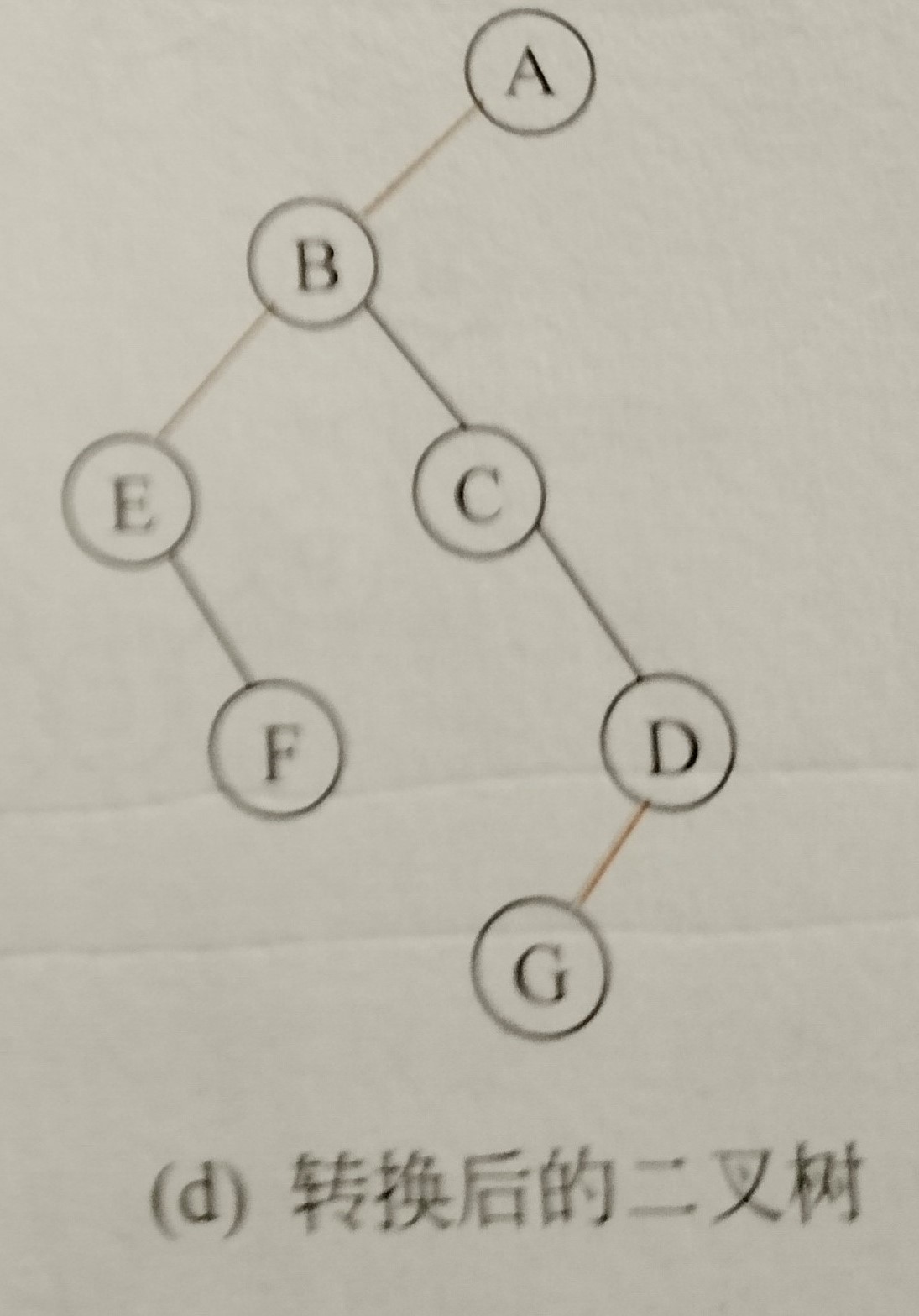 chapter-vii-binary-trees