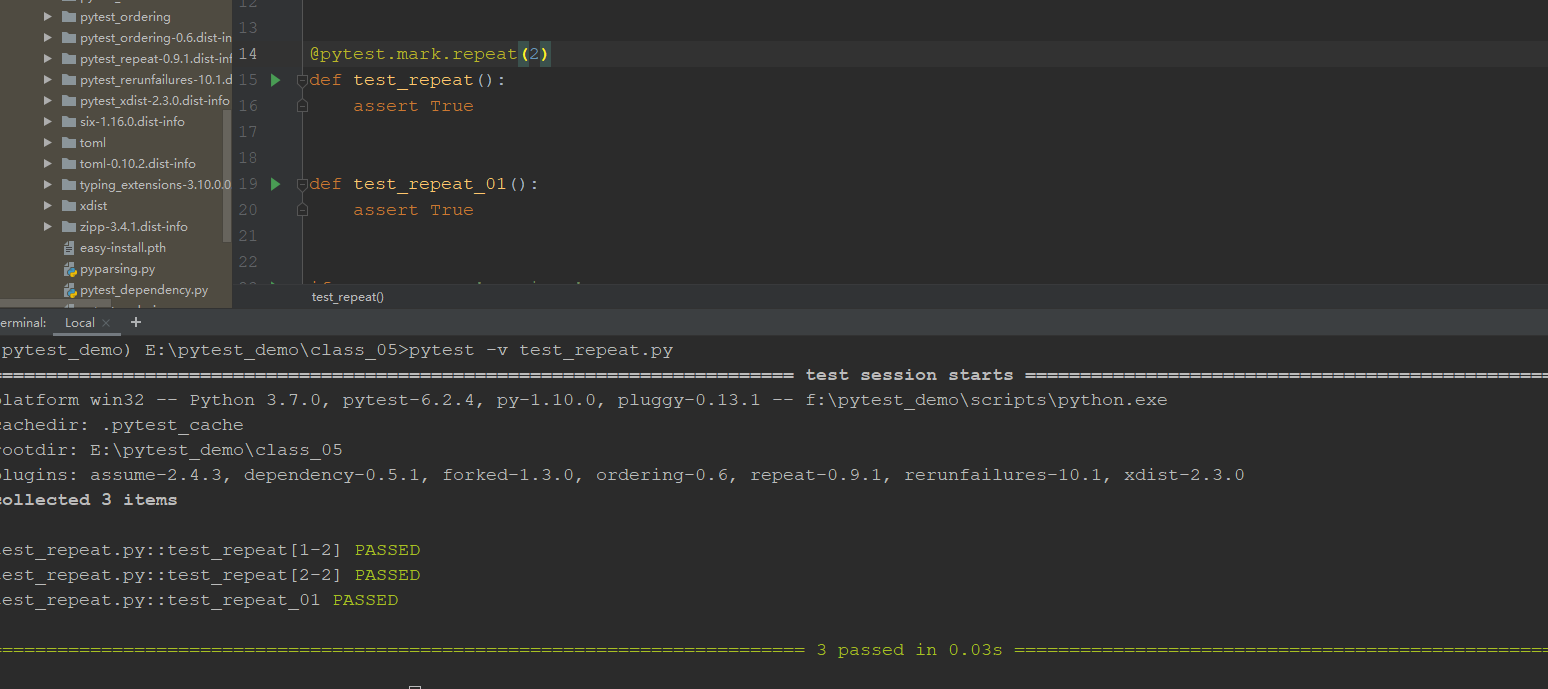 pytest-test-framework-series-detailed-explanation-of-pytest-repeat